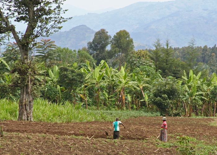 Farmland at the foothills of the Virunga Volcanoes