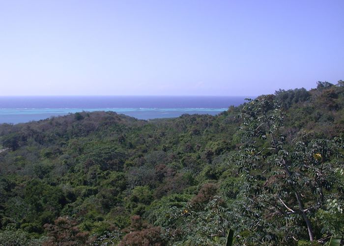 Roatán Island, Honduras