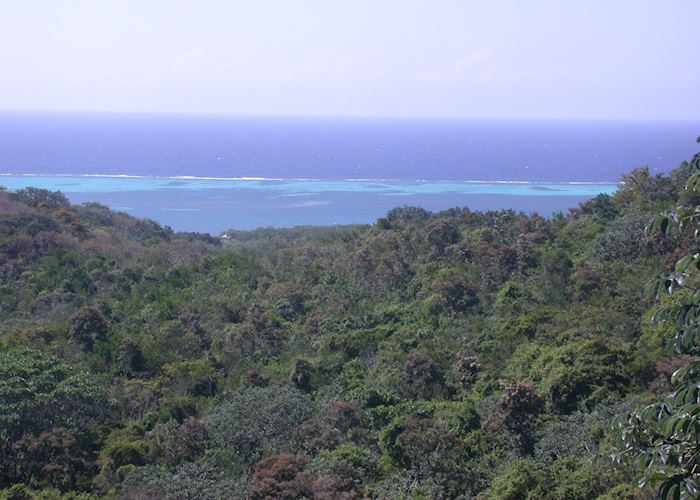 Roatán Island, Honduras