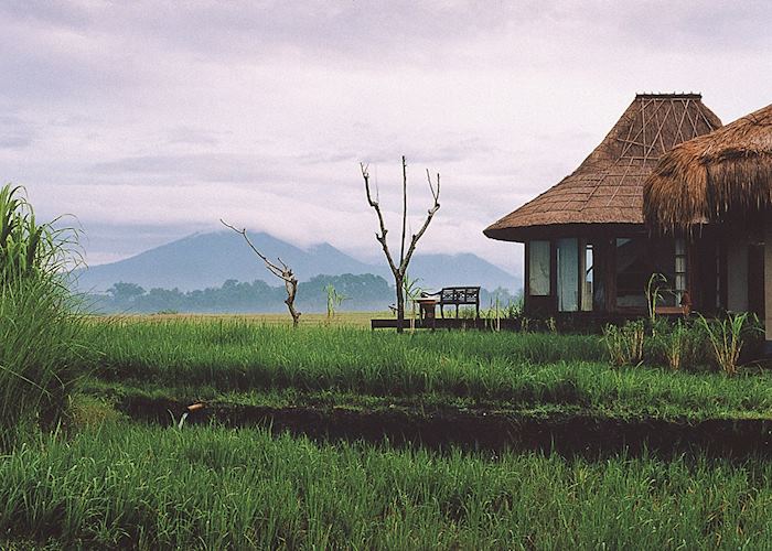 View from a bungalow,  Waka Gangga, West Bali