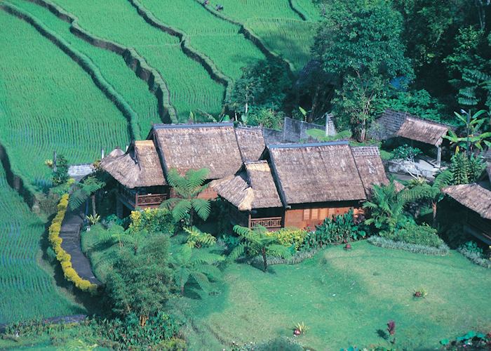 Traditional houses nestled among the rice paddies, Bali