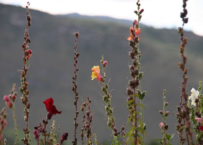 Leymebamba, Peru