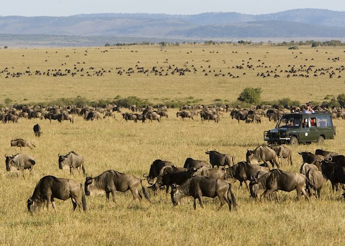 Migration from Rekero Tented Camp, Masai Mara