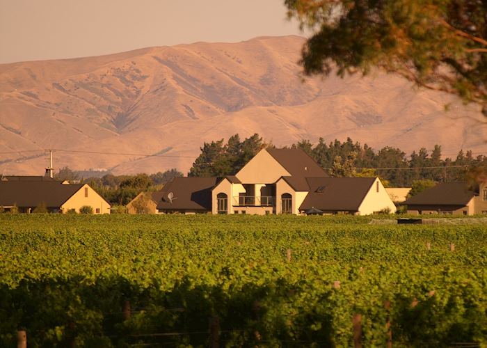 Villas across the vines, Vintner's Retreat Villas, Blenheim & The Winelands