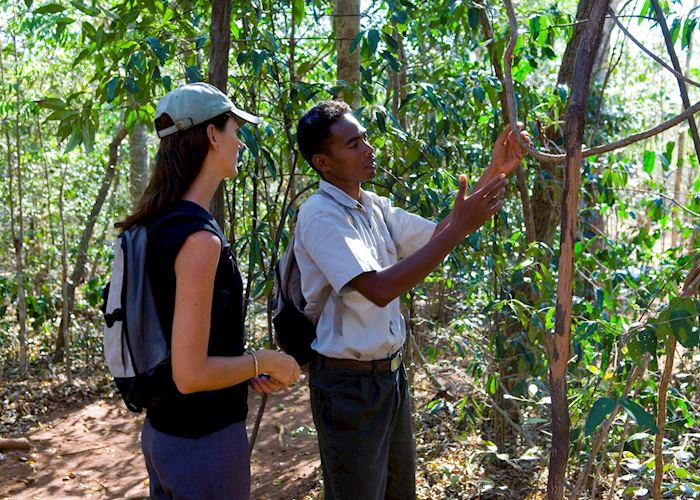 Walking in Anjajavy Private Nature Reserve