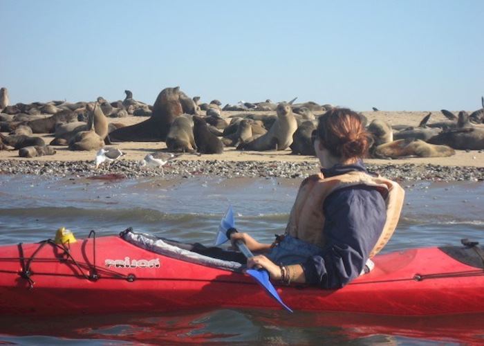 Kayaking at Pelican Point