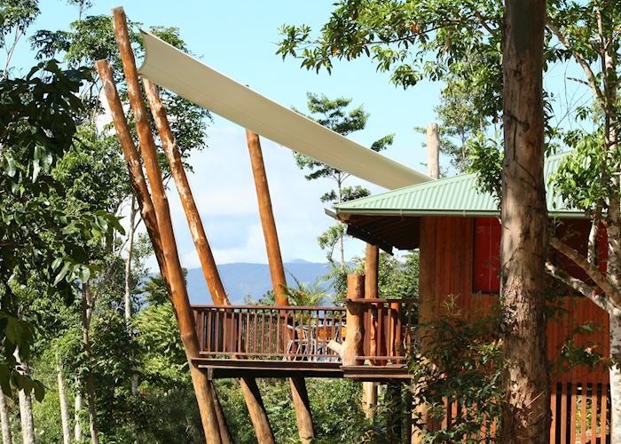 Rose Gums Wilderness Retreat, Atherton Tablelands