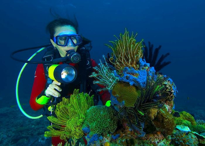 Diving from Lankayan Island, Borneo
