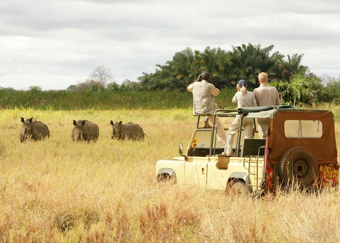 Game viewing in Meru National Park