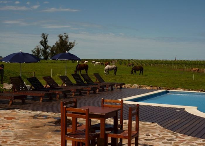 Finca Piedra, San José