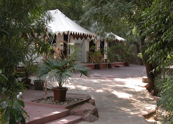 Tents at Ajit Bhavan, Jodhpur