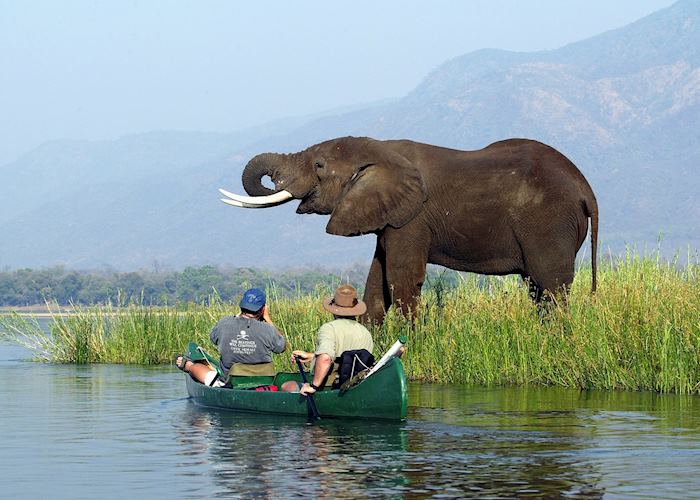 Canoe safari in Mana Pools