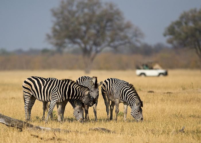 Game drive from Davison's Camp
