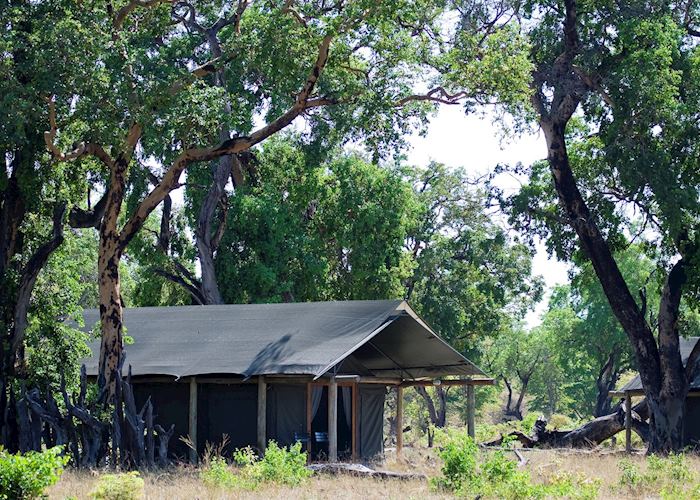 Davison's Camp, Hwange National Park