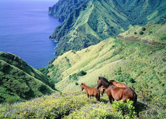 The Marquesas Islands