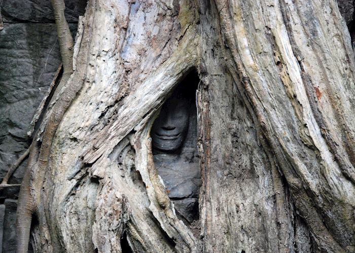 Hidden Bhudda image - Ta Prohm