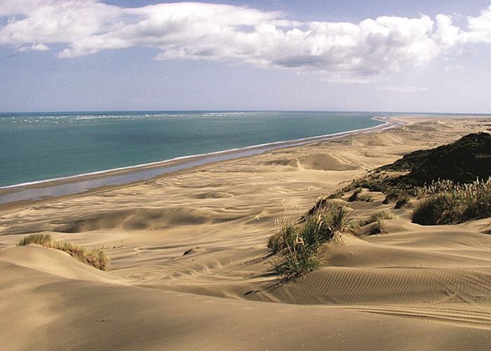Kauri Coast, New Zealand