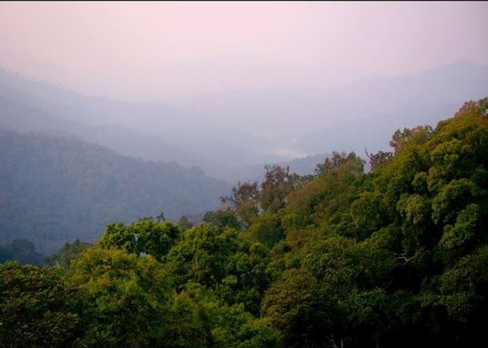 Nyungwe Forest National Park