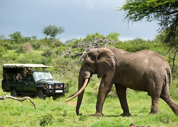 Game drive in the Chyulu Hills