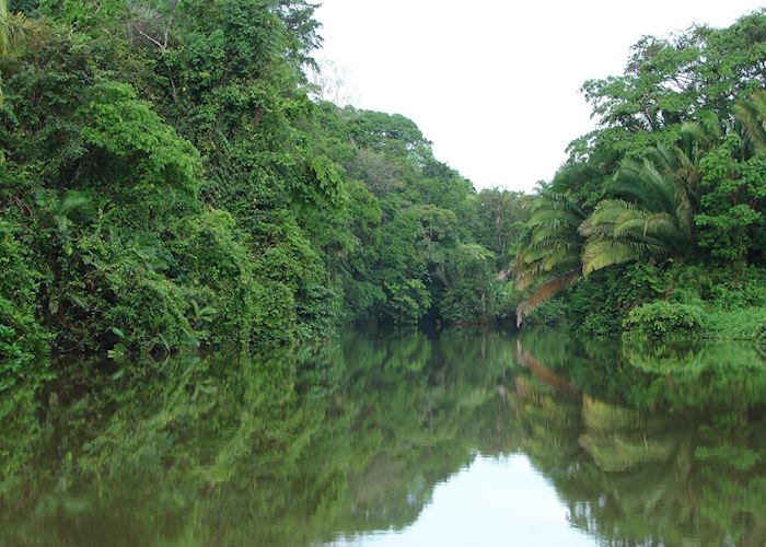 Moho River, Copal Tree Lodge (formerly Belcampo), Punta Gorda
