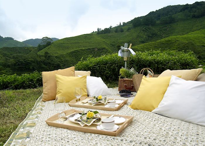 Picnic in a tea garden, Cameron Highlands Resort, Cameron Highlands