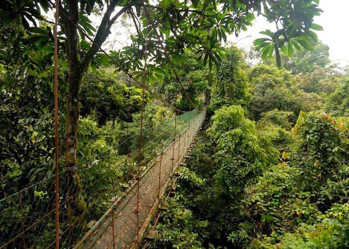 Canopy walkway, Danum Valley, Malaysian Borneo