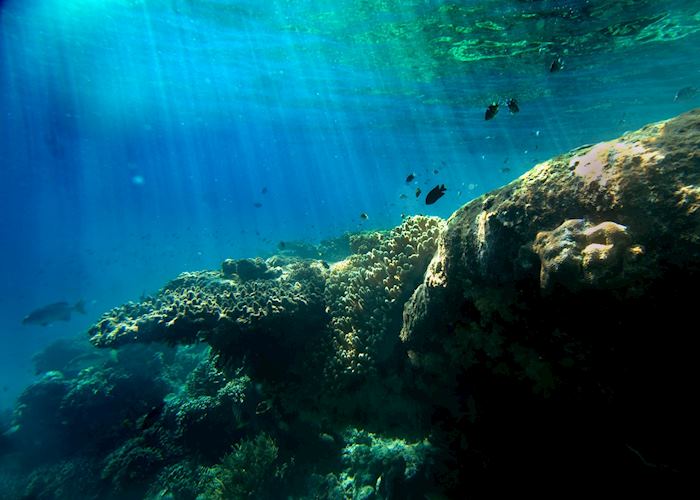 Underwater in Pemuteran Bay, Indonesia
