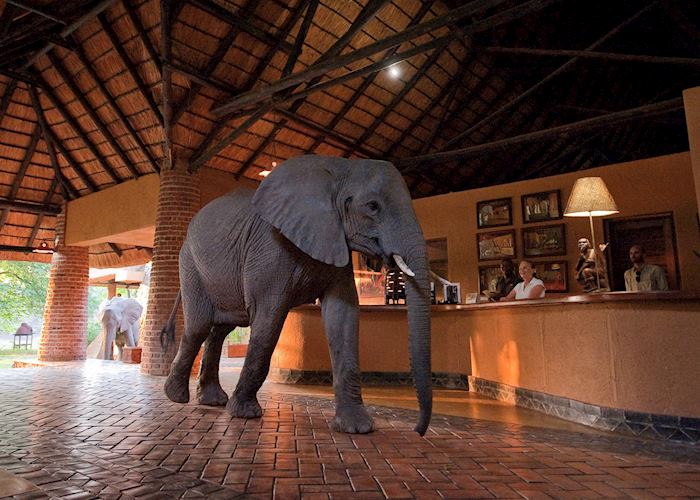 Mfuwe Lodge, South Luangwa National Park