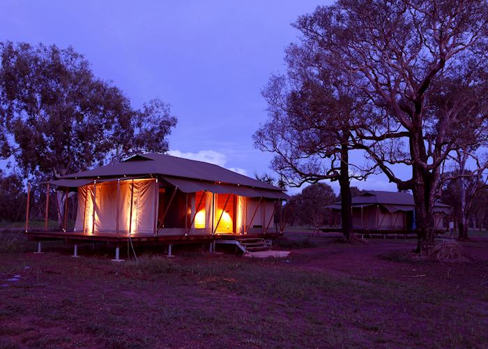 Safari tent, Wildman Wilderness Lodge, Wildman Wilderness Lodge