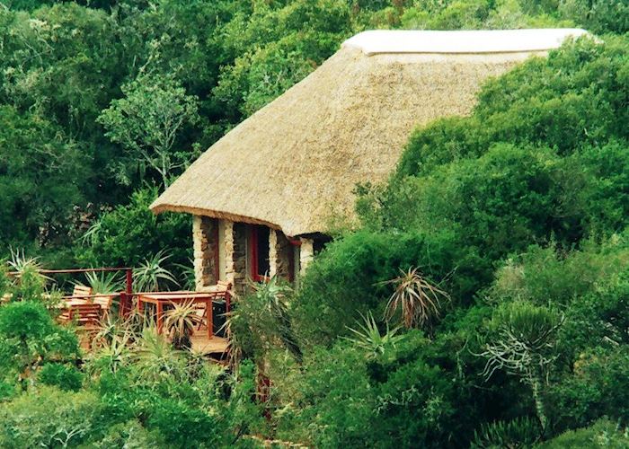 Amakhala Woodbury Lodge, Eastern Cape Game Areas