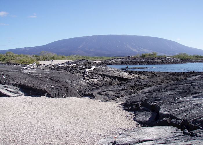 Fernandina, Galapagos Islands, Ecuador