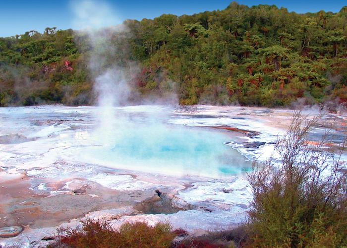 Orakei Korako geyser, Rotorua