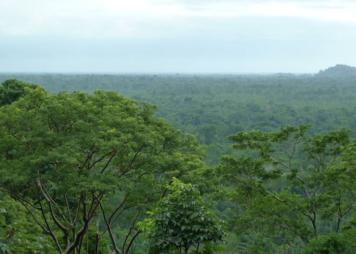 View from Restaurant, Copal Tree Lodge (formerly Belcampo), Punta Gorda