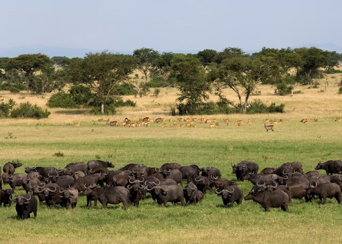 Queen Elizabeth National Park, Uganda