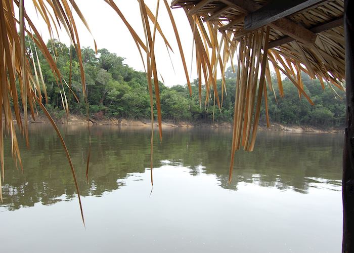 View from bedroom, Amazon Eco Lodge
