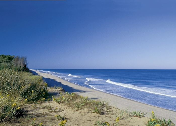 Cape Cod National Seashore