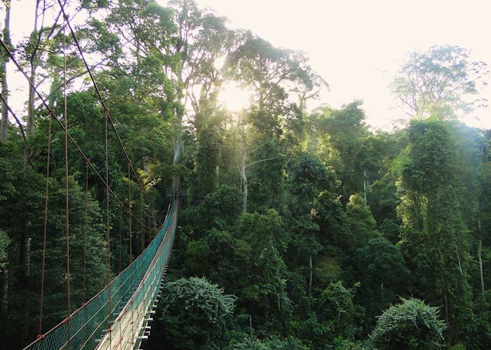 Danum Valley, Malaysian Borneo