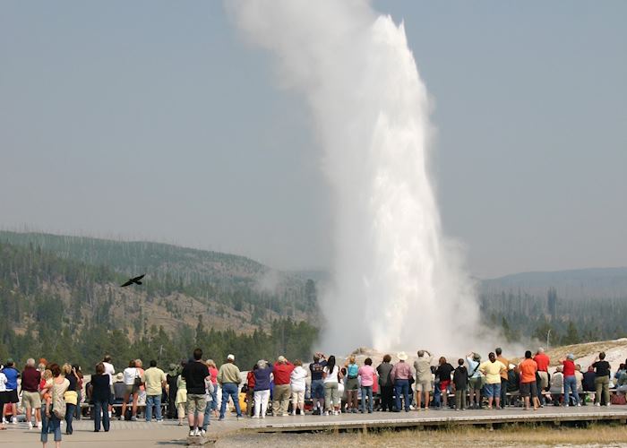 Old Faithful, Yellowstone National Park