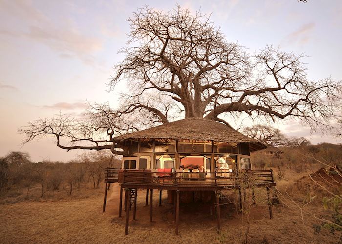 Tarangire Tree Tops, Tarangire National Park