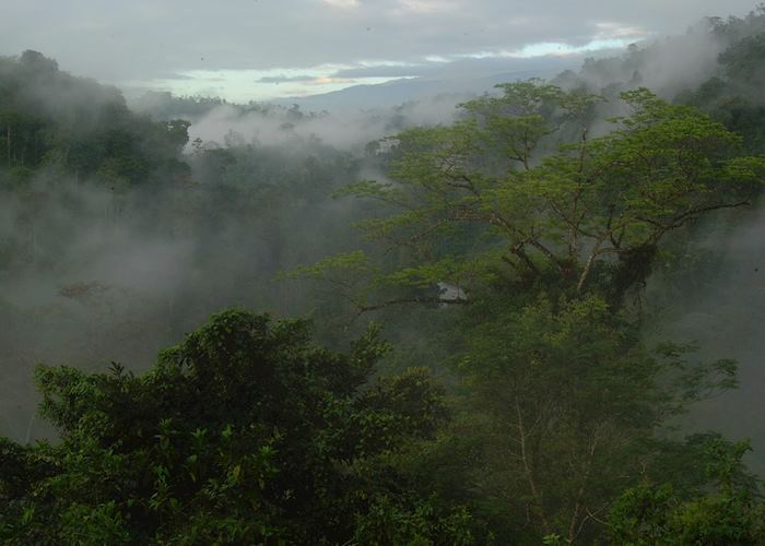 Monteverde Cloud Forest, Costa Rica
