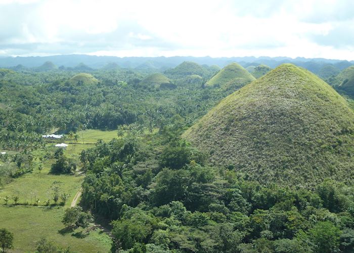 Chocolate Hills, Bohol