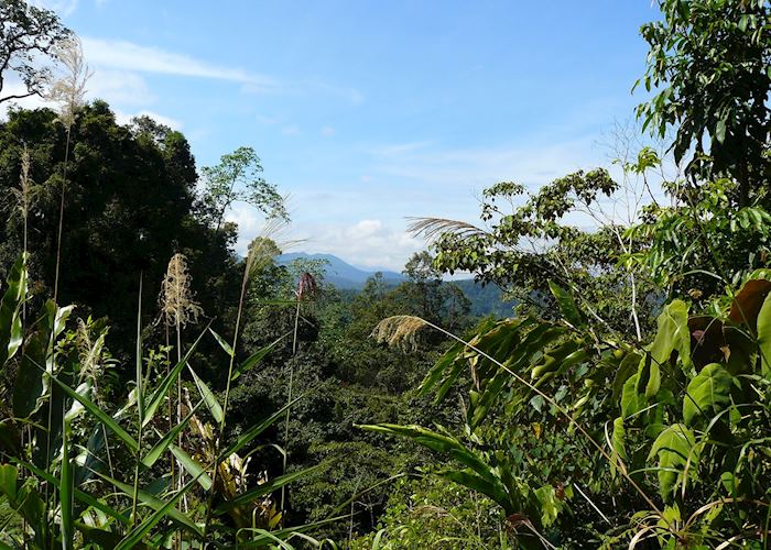 Cameron Highlands, Malaysia