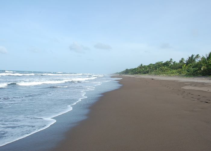 Coastline, Tortuguero National Park, Costa Rica