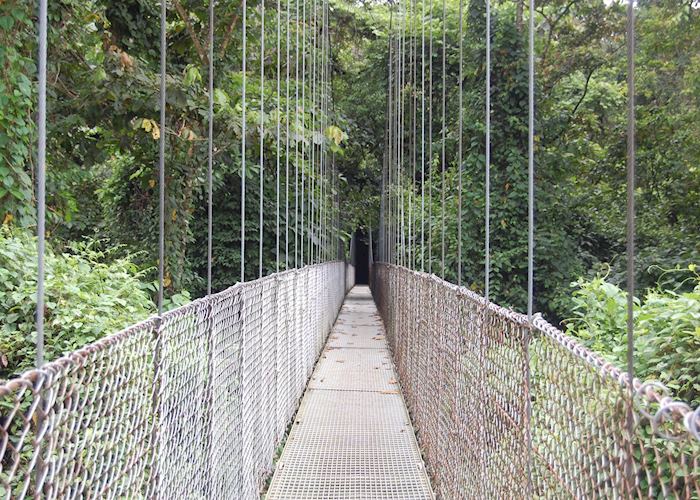 Hanging Bridges, Arenal