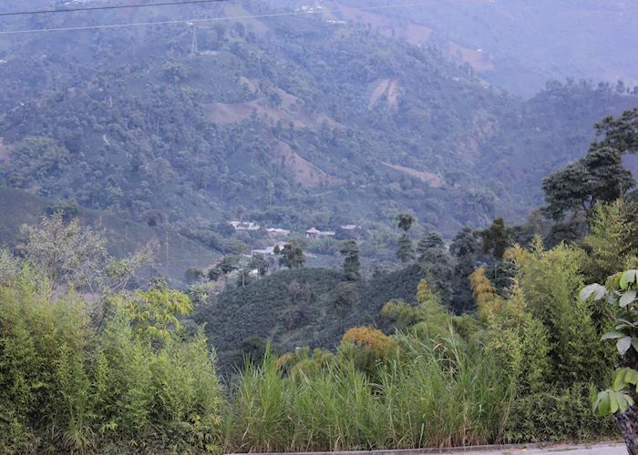 Hacienda Venecia, Manizales