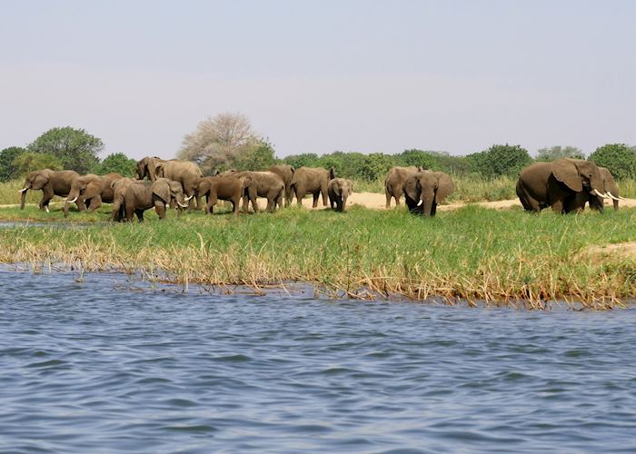 Lower Zambezi National Park, Zambia