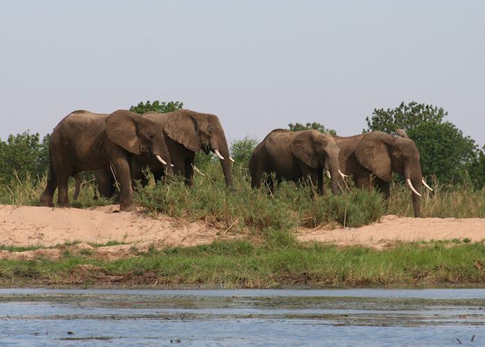 Lower Zambezi National Park, Zambia