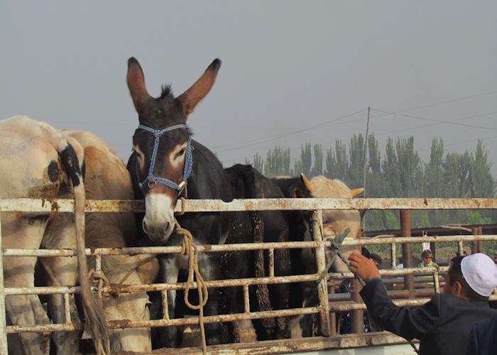 Kashgar Sunday Market, Kashgar