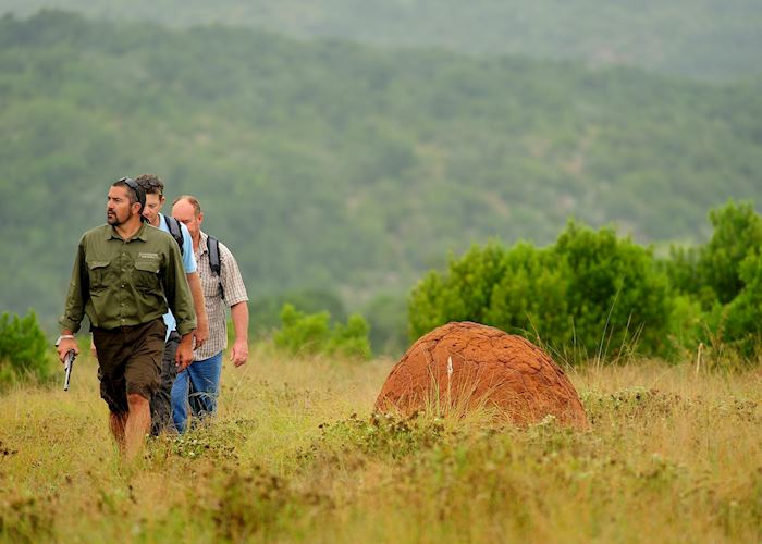 Walking from Sanbona Explorer Camp