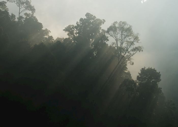 Khao Sok National Park,Thailand